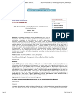 Antonio Pérez - de La Etnoescatología A La Etnogénesis: Notas Sobre Las Nuevas Identidades Étnicas