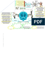 Mapa Mental Neurociencia