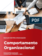 Comportamento Organizacional 1