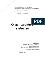 Informe de Organización y Sistema