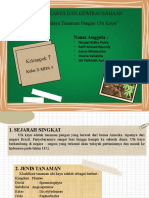 Presentasi Produksi Ubi Kayu