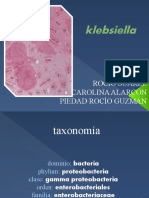 Klebsiella