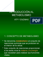 Introduccion Al Metabolismo