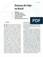 Trigo No Brasil