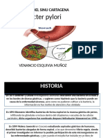 Helicobacter Pylori