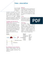 Semana 4 - Analogías