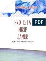 Modul Pembelajaran PROTISTA MIRIP JAMUR