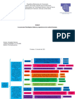 Los Procesos Psicológicos Básicos y Superiores en La Conducta Humana Mapa Conceptual