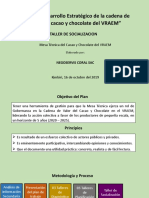 Plan de Desarrollo Estrategico de La Mesa Tecnica Del Ccao Del VRAEM