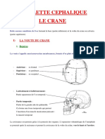 Le Crane Osseux