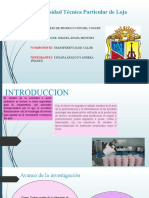 Elaboracion Del Yogurt Transferencia