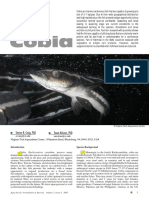 Species Background: Aqua Feeds: Formulation & Beyond, Volume 2 Issue 4 2005 5