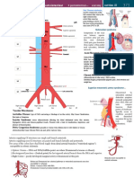 Right Left: Abdominal Aorta and Branches