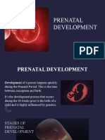 Prenatal Development