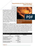 Requerimientos de Clima y Suelo para El Cultivo de La Papa