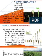 How To Grow Seedlings