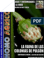 REVISTA HOMO AGRICOLA.NºO - Marzo2011+side Effects