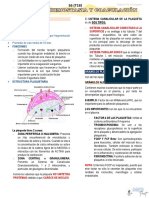 s6 (t18) - Plaquetas, Hemostasia y Coagulación.