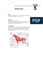 Aula 05 Sistema Muscular