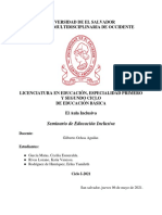 Informe de Inclusión - Reporte