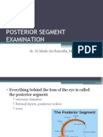 Posterior Segment Examination