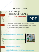 Alfabetul Unei Societați Interculturale