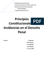 Principios Constitucionales y Insidencia en El Derecho Penal.