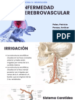 Seminario EVC