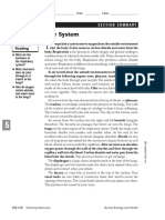 Summary - The Respiratory System