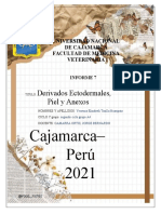 Informe 7 de Embriologia