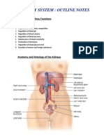 Chapter 26 Urinary System