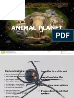 Animal Planet