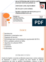 ELL Pentane + N-Formylmorpholine Equipo 13