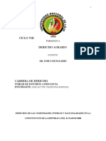 Ensayo - Derechos de Las Comunidades, Pueblos y Nacionalidades - JoseVelepuchaEspinoza