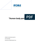 Human Body Parts