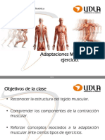 Clase 2 Adaptaciones Musculares en Ejercicio