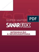 Neuro Anatomia