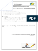 8 Ano 2 Atividade Remota Est. Amazonicos