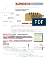 Parásito T1 Generalidades