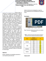 Reporte Practica 8 Fosfolípidos