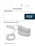 Hotosynthesis S E: Ummary Quation