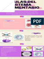 Celulas Del Sistema Tegumentario