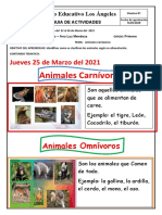 Animales Carnivoros y Omnivoros