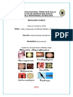 Cuadro Comparativo (Tinia Nigra. y Piedra)