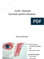 Eyelids Diseases Lacrimal System Diseases