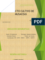 Presentacion Proyecto Musaceas Diplomado