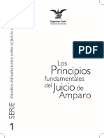 Los Principios en El Juicio de Amparo