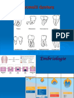 Anomalii Dentare