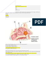 Pretest Anatomy