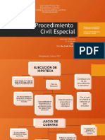 Esquema Del Procedimiento de Ejecución de Hipotecas y Esquema Del Procedimiento de Juicio de Cuentas